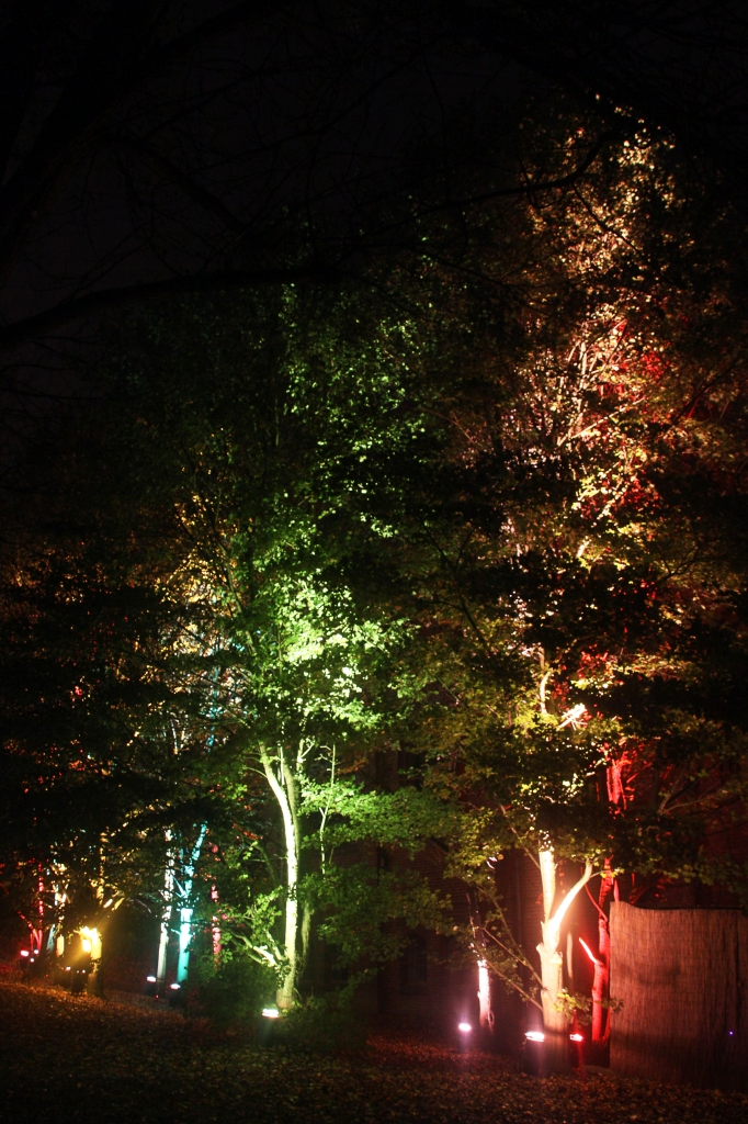 Herbstleuchten 171009  (26).JPG